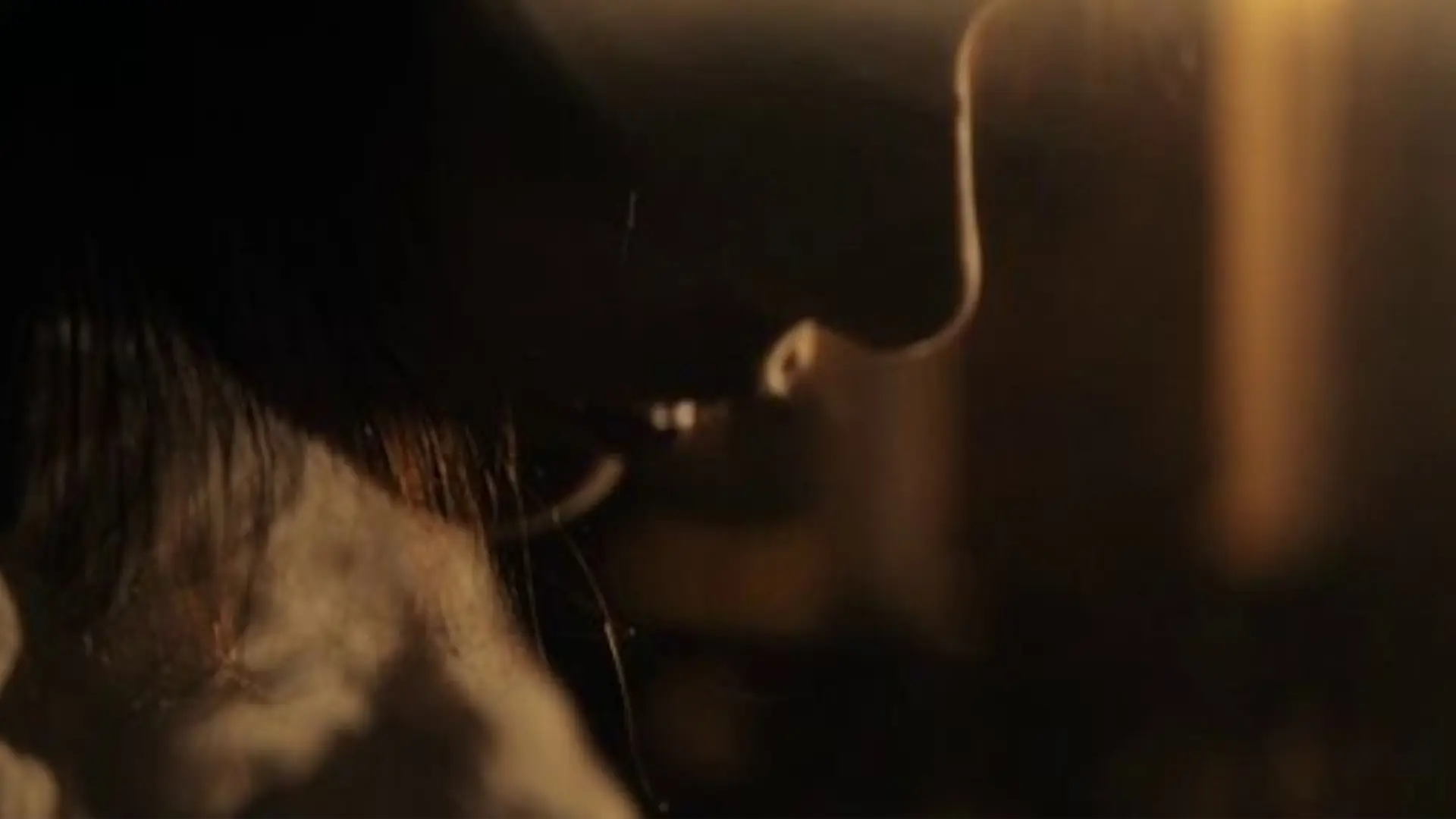 Profile in amber